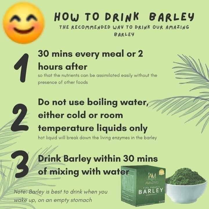 how often should i drink barley grass
